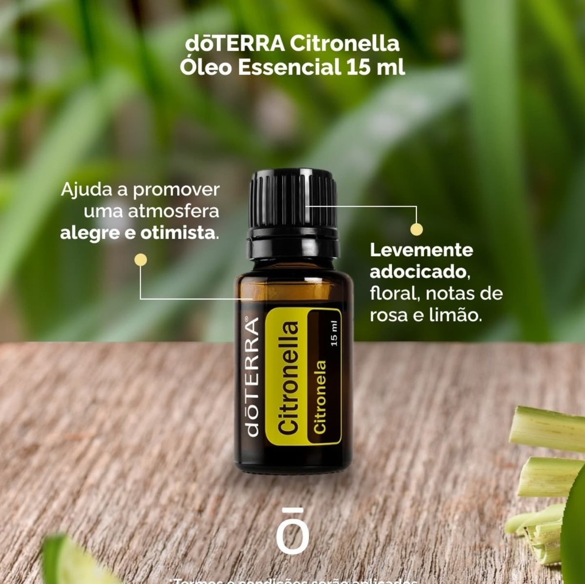 Citronella