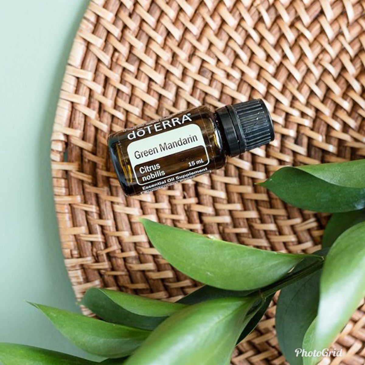 Green Mandarin 15 ml