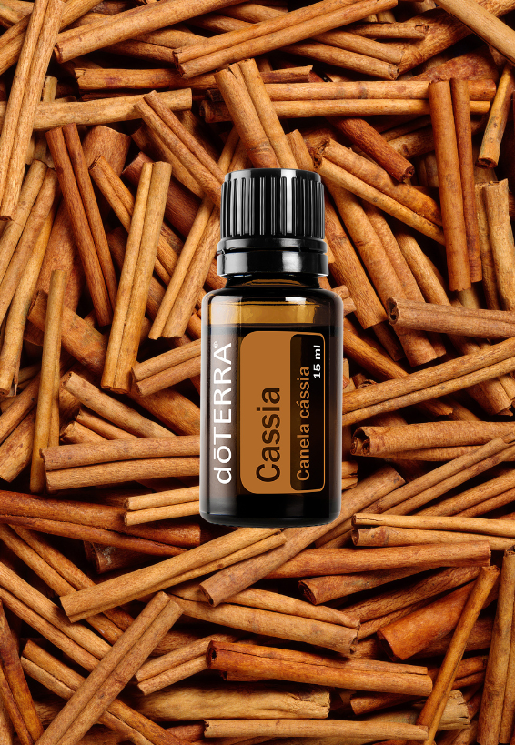 Cassia