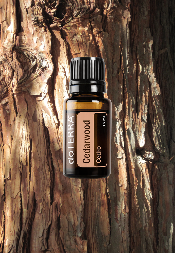 Cedarwood