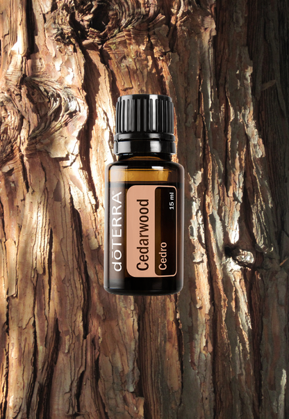 Cedarwood