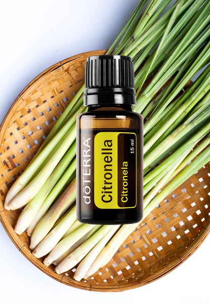 Citronella