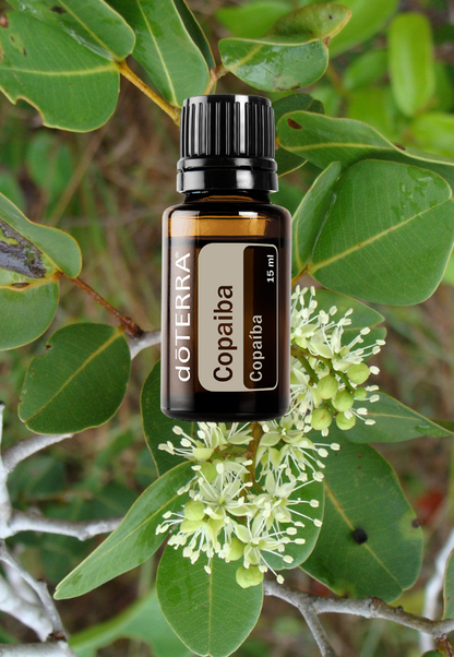 Copaiba