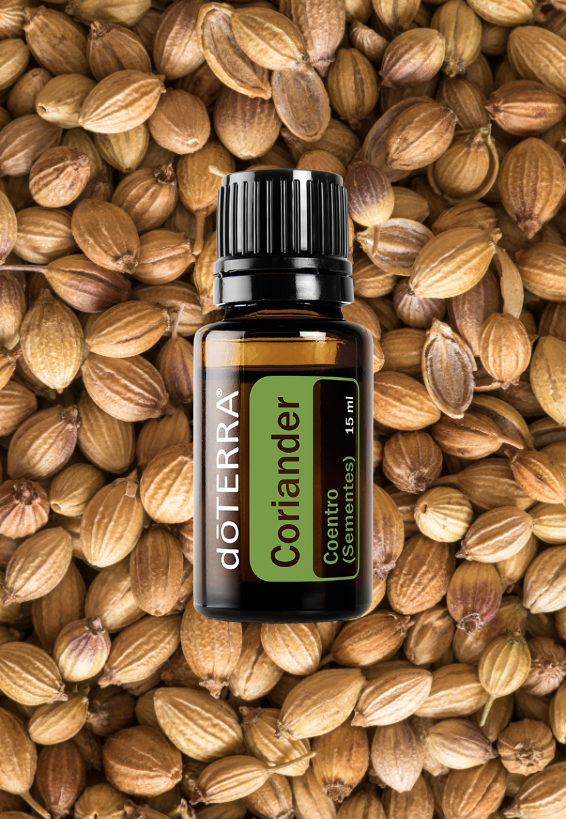 Coriander 15ml