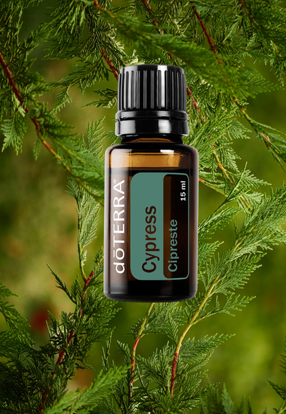 Cypress 15ml