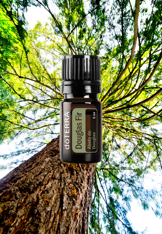 Douglas Fir 5ml
