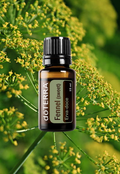 Fennel 15ml