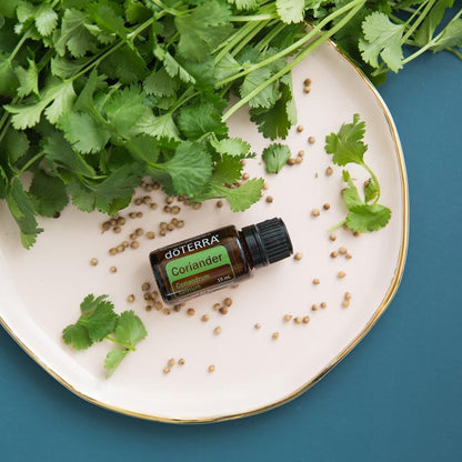 Coriander 15ml